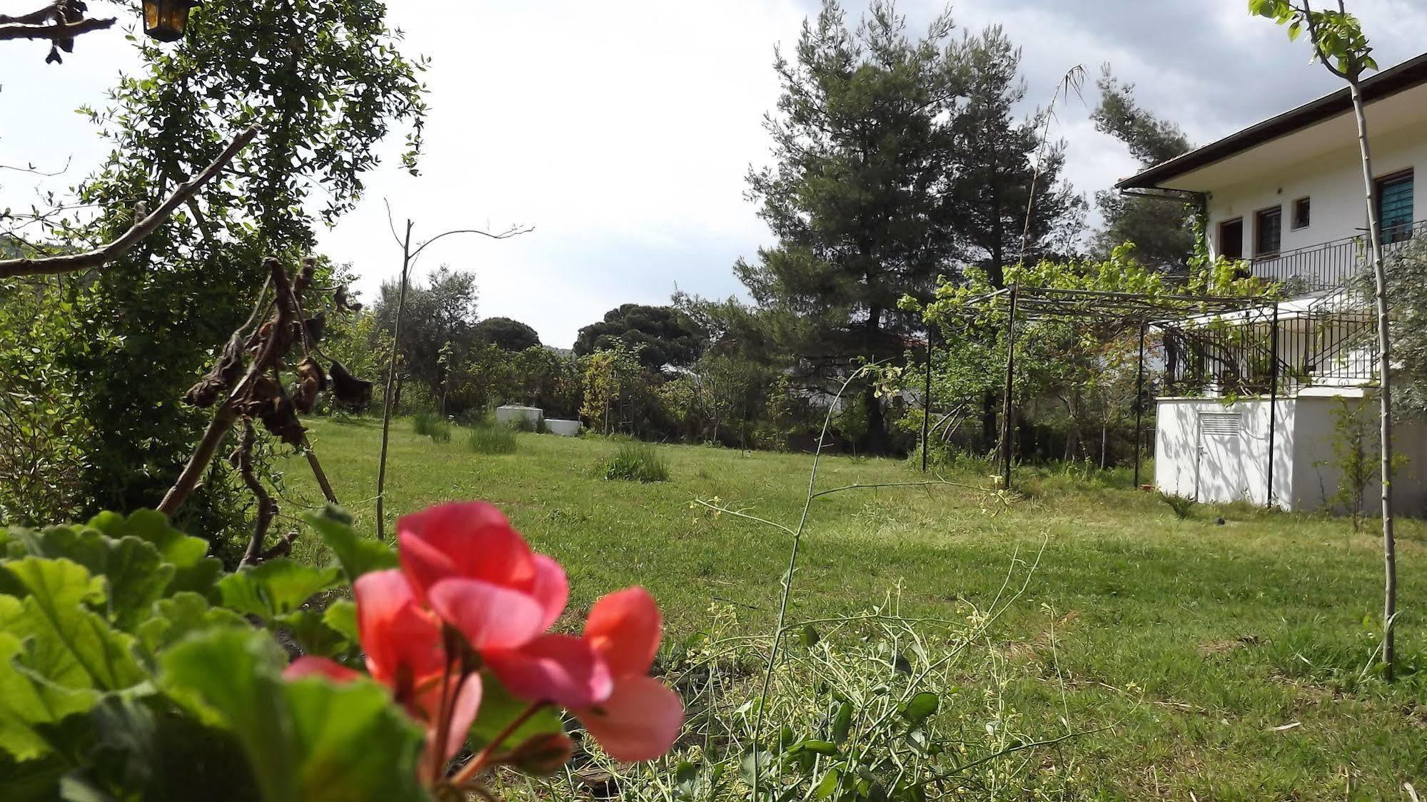 Pefka Studios & Apartments Chalkidiki Kültér fotó