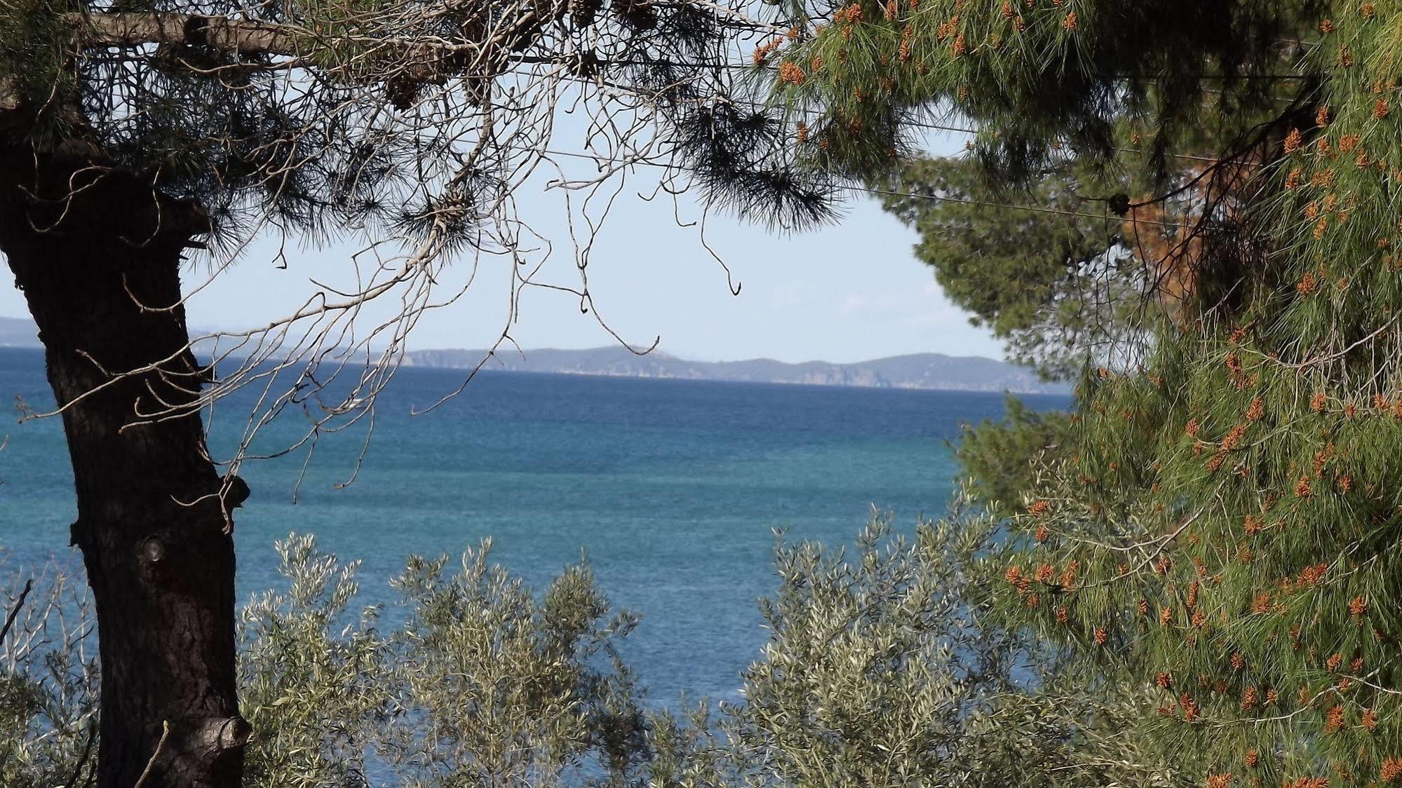 Pefka Studios & Apartments Chalkidiki Kültér fotó